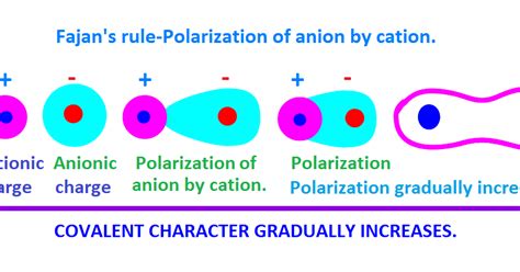 fajan's polarization.